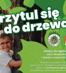 Przytul się do drzewa